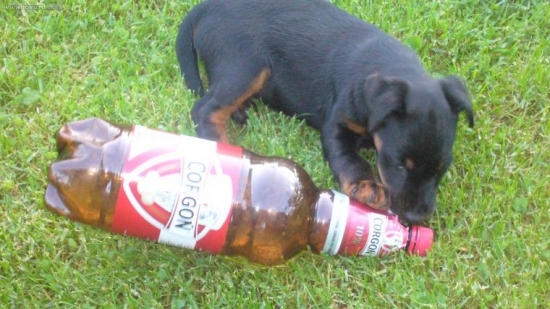 nechali ste mi niečo???