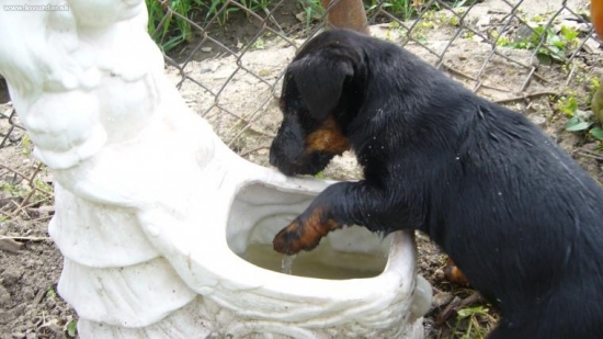 trochu sa umyjem a idem spať.