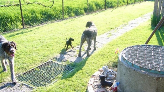 naše baby Lea,Ira a Ada