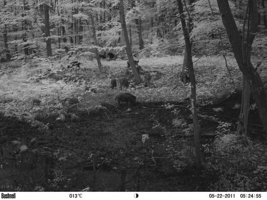 12 mladých v rodinke poteší...