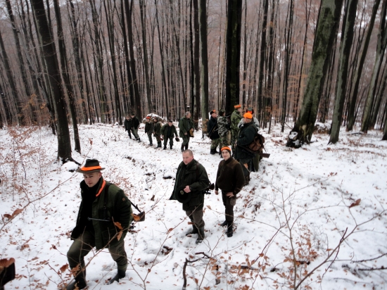 Cestou na stanovište