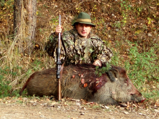 Minuloročný lanštiak
