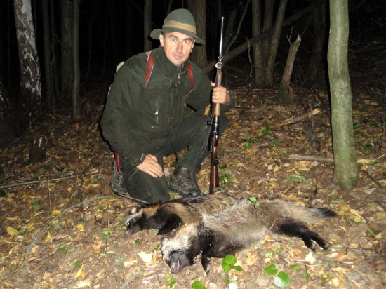 psík medvedikovitý