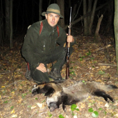 psík medvedikovitý