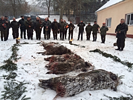 Spoločná poľovačka