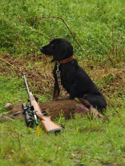 Whiskey s prasiatkom