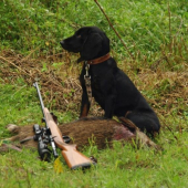 Whiskey s prasiatkom