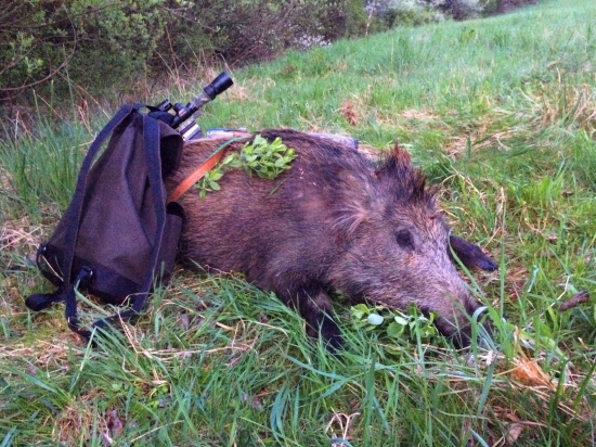 Lanštiak