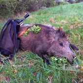 Lanštiak