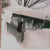 Vtedy bolo snehu viac...