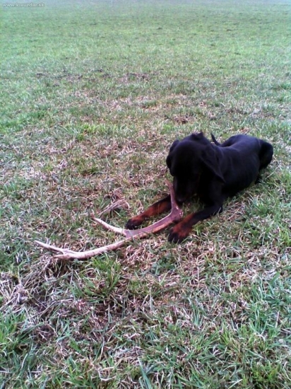 Z minulého roku. Toho roku zatiaľ nič.