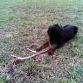 Z minulého roku. Toho roku zatiaľ nič.