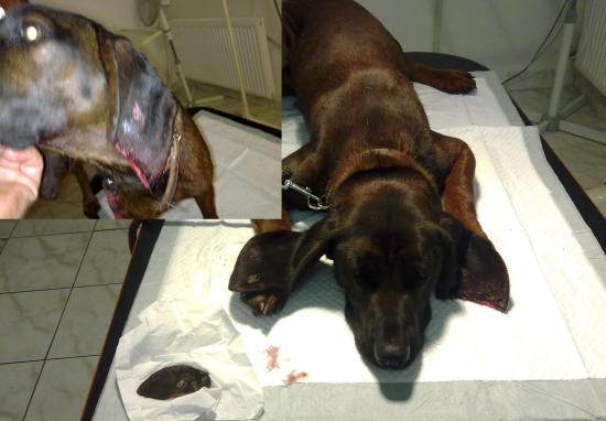 Stala sa nám nehoda...