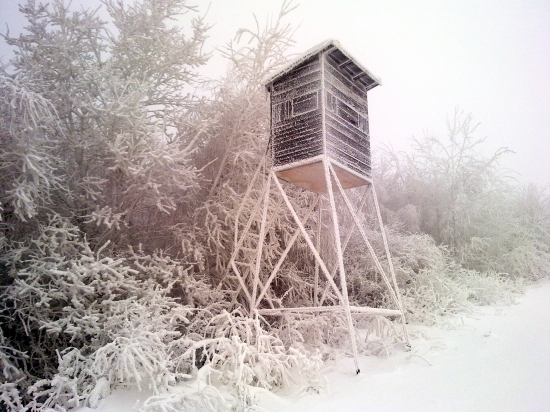 Posed Pod Berezinami