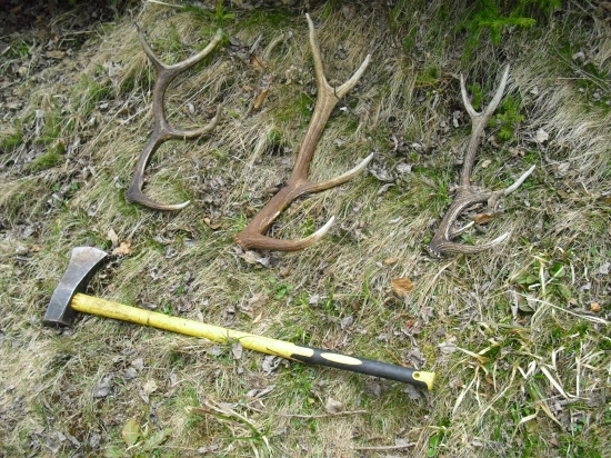 co vsetko sa da najst....