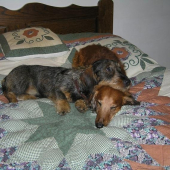 Naše nerozlučná dvojka