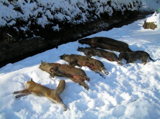 Vzpomínka na prosinec 2007