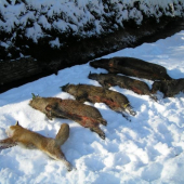 Vzpomínka na prosinec 2007