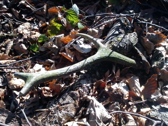 dnes sa darilo:) aspon nieco