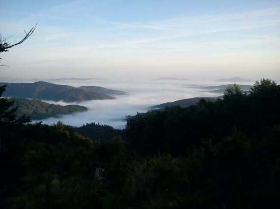 hmlyste rana na čergove