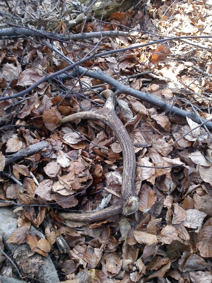 konečne sa podarilo