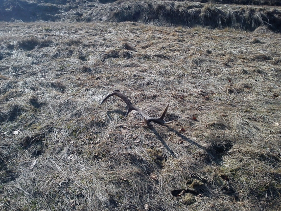 konečne tohoročny:)