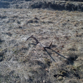 konečne tohoročny:)