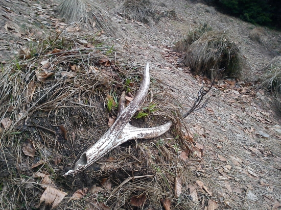 aj to je umenie nájst