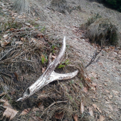 aj to je umenie nájst