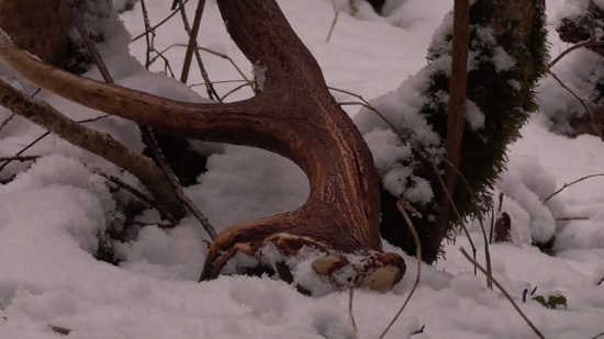 detail k foto id 284189