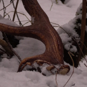 detail k foto id 284189