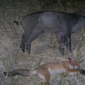 Večerná posliedka...