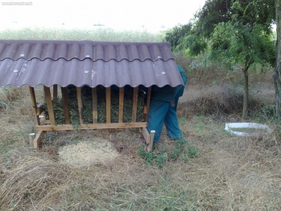 A hneď sme aj zakŕmili.