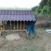 A hneď sme aj zakŕmili.