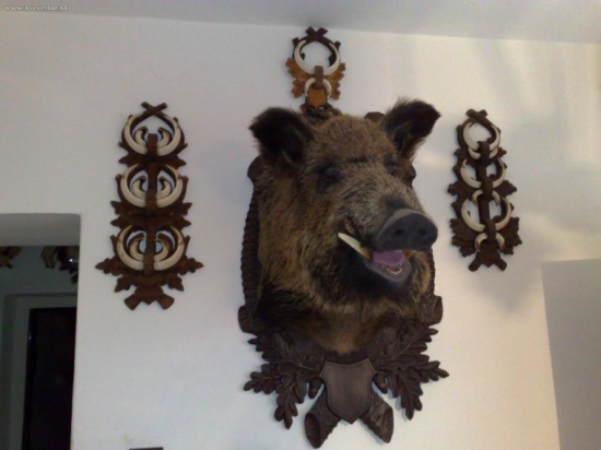 Zbierka môjho dobrého kamaráta.