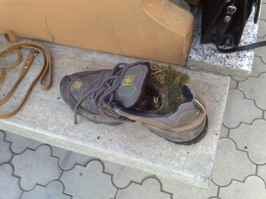 A takto dopadla švagrova teniska.