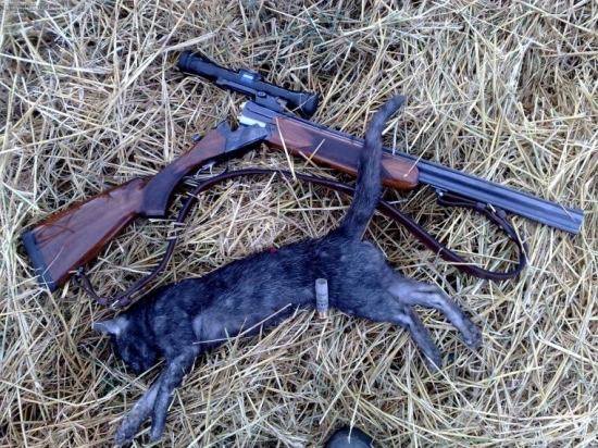 Prechádzka po žatve.