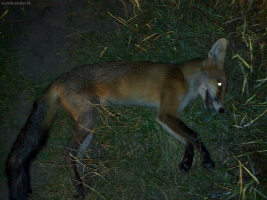 Ďaľšia v poradí.