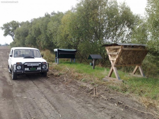 Kŕmenie a rozvoz soli.