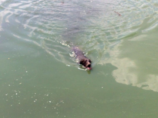 Vodná práca stavačov.