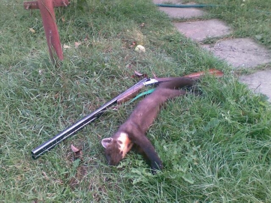 Kamarátova krásavica.