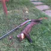 Kamarátova krásavica.