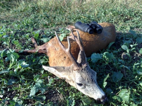 Včera ráno. III.V.T.