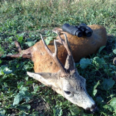 Včera ráno. III.V.T.