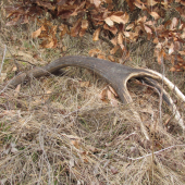 februárová spomienka