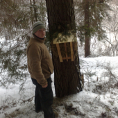 A uš je aj umiestnený