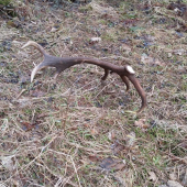 14torak
