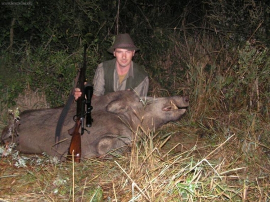 Čo ma cestou domou nestretlo