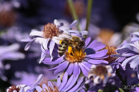 Veľkosť tak malého