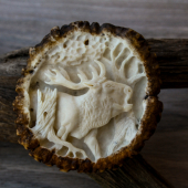 Darček k jubilejným  80 rokom